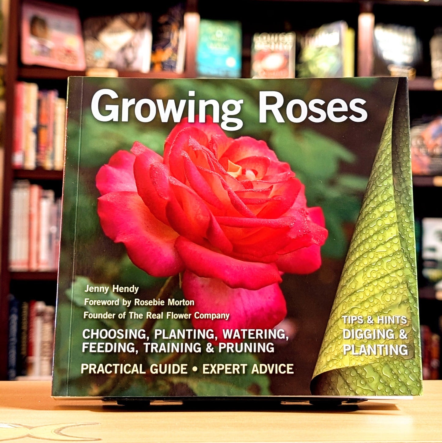Growing Roses: Plan, Plant and Maintain