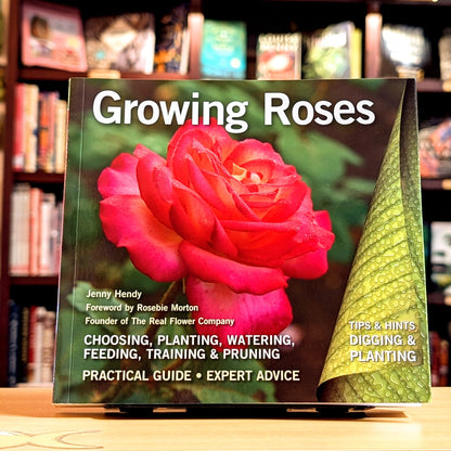 Growing Roses: Plan, Plant and Maintain