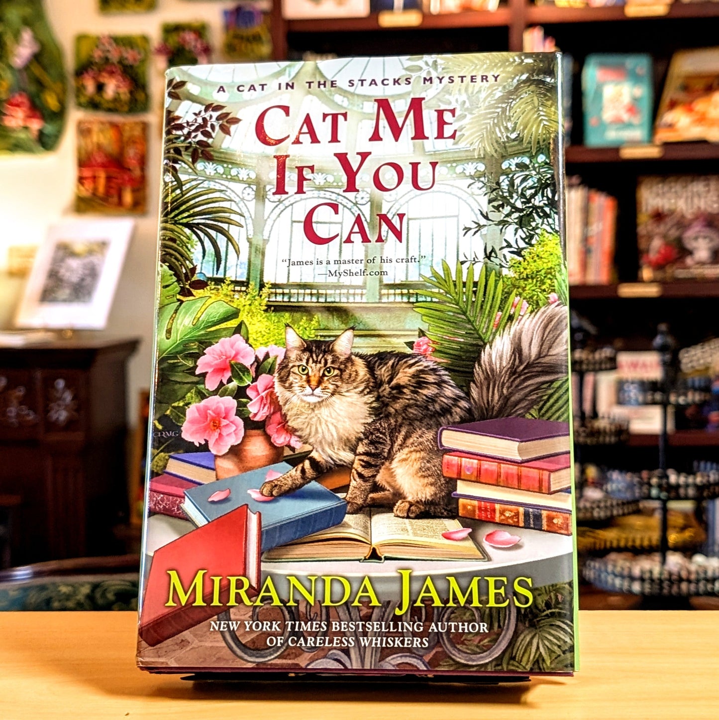 Cat Me If You Can (Cat in the Stacks Mystery)