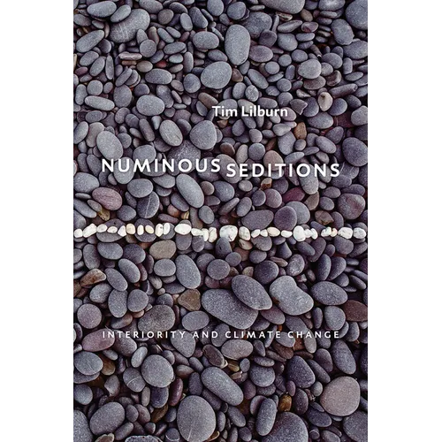 Numinous Seditions: Interiority and Climate Change - Paperback