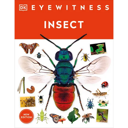 Eyewitness Insect - Paperback
