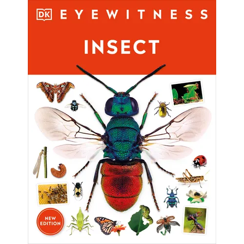 Eyewitness Insect - Paperback