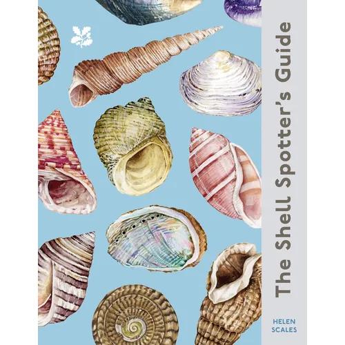 The Shell-Spotter's Guide - Hardcover