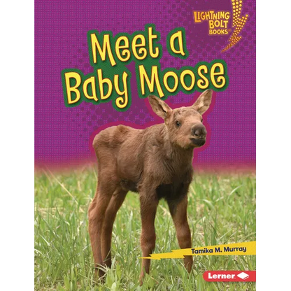 Meet a Baby Moose - Library Binding