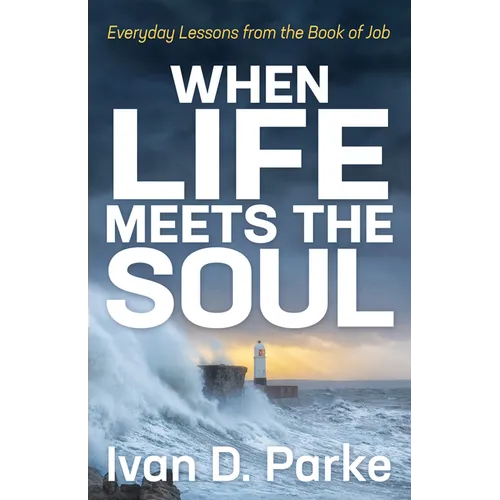 When Life Meets the Soul: Everyday Lessons from the Book of Job - Paperback