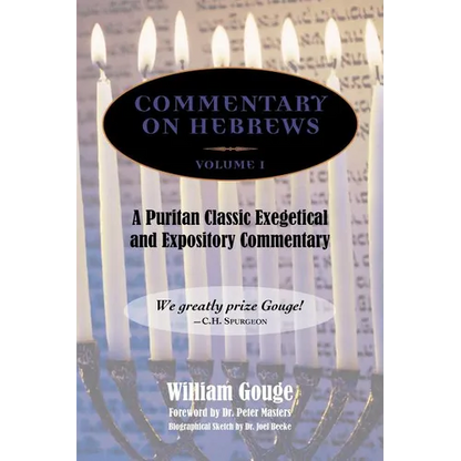 Commentary on Hebrews: Exegetical and Expository - Vol. 1 (Heb. 1-7) - Hardcover
