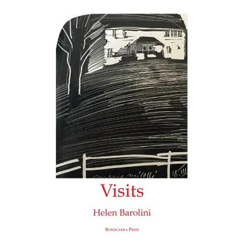 Visits - Paperback