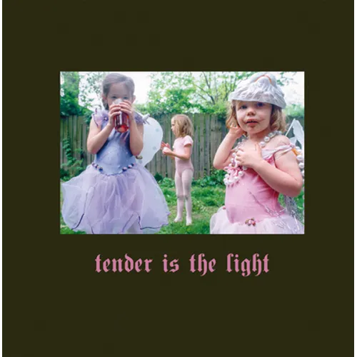 Tender Is the Light - Hardcover