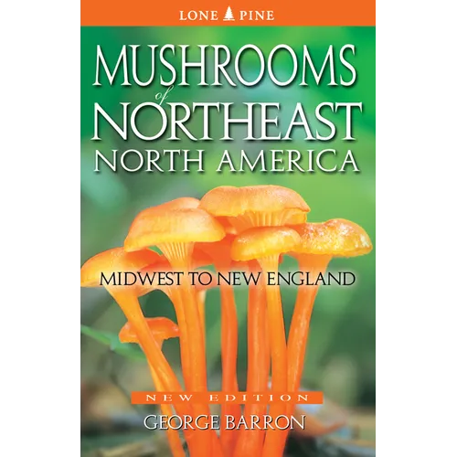 Mushrooms of Northeast North America: Midwest to New England - Paperback