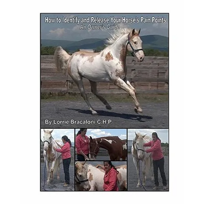 How to Identify and Release Your Horse's Pain Points: An Owner's Guide - Paperback