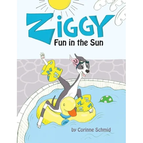 Ziggy Fun in the Sun - Hardcover