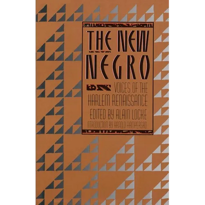 The New Negro - Paperback