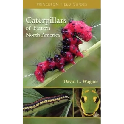 Caterpillars of Eastern North America: A Guide to Identification and Natural History - Paperback