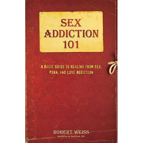 Sex Addiction 101: A Basic Guide to Healing from Sex, Porn, and Love Addiction - Paperback