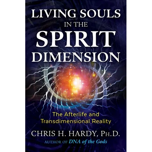 Living Souls in the Spirit Dimension: The Afterlife and Transdimensional Reality - Paperback