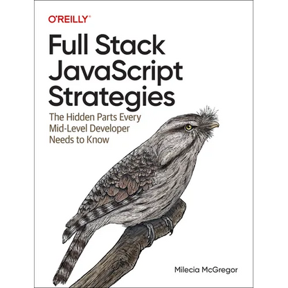 Full Stack JavaScript Strategies: The Hidden Parts Every Mid-Level Developer Needs to Know - Paperback