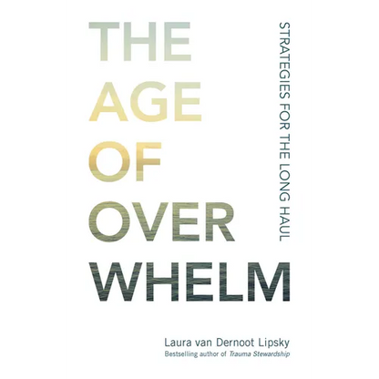 The Age of Overwhelm: Strategies for the Long Haul - Paperback