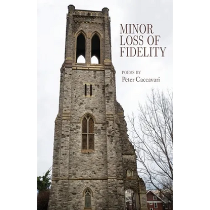 Minor Loss of Fidelity - Paperback