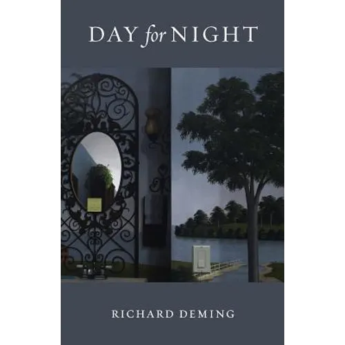 Day for Night - Paperback