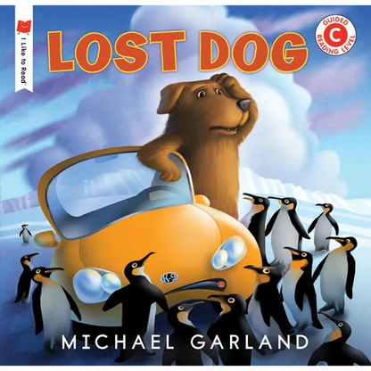 Lost Dog - Paperback