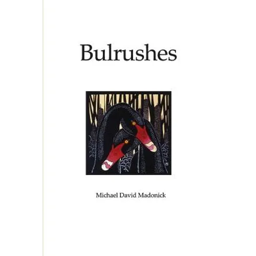Bulrushes - Paperback