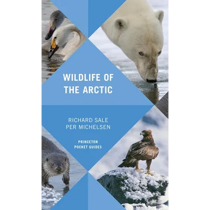Wildlife of the Arctic - Paperback