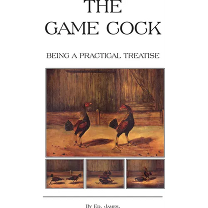 The Game Cock - Being a Practical Treatise on Breeding, Rearing, Training, Feeding, Trimming, Mains, Heeling, Spurs, Etc. (History of Cockfighting Ser - Paperback