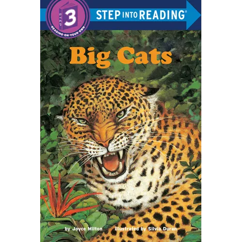 Big Cats - Paperback