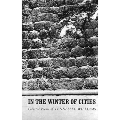 In the Winter of Cities: Poetry - Paperback