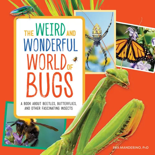 The Weird and Wonderful World of Bugs: A Book about Beetles, Butterflies, and Other Fascinating Insects - Paperback