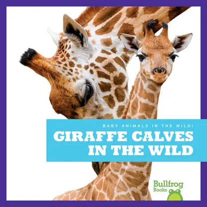 Giraffe Calves in the Wild - Library Binding