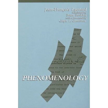 Phenomenology - Paperback