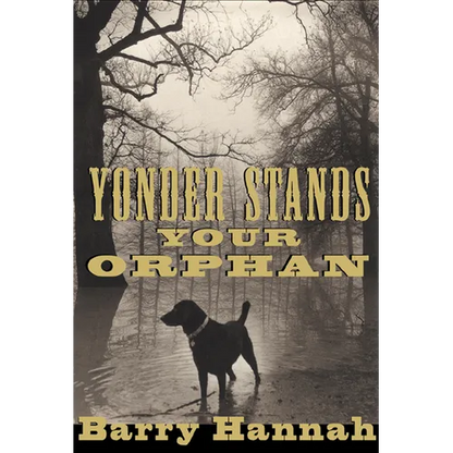 Yonder Stands Your Orphan - Paperback