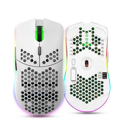 HXSJ T66 RGB 2.4G Wireless Gaming Mouse RGB
