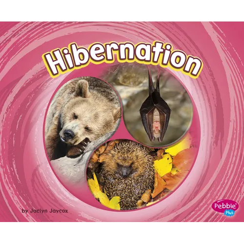 Hibernation - Paperback