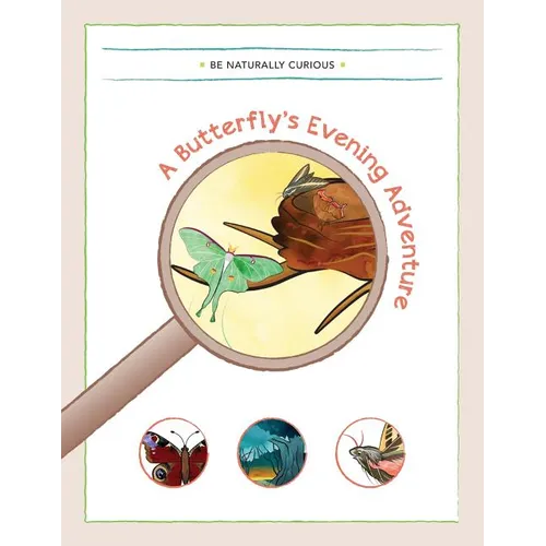 A Butterfly's Evening Adventure - Paperback