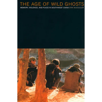The Age of Wild Ghosts: Memory, Violence, and Place in Southwest China - Paperback