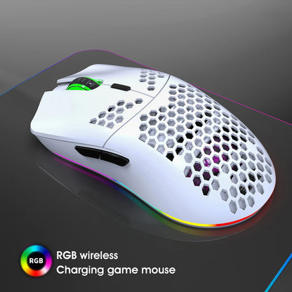 HXSJ T66 RGB 2.4G Wireless Gaming Mouse RGB