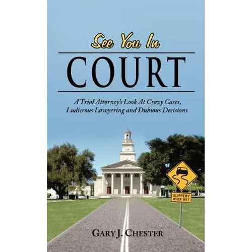 See You in Court: A Trial Attorney's Look at Crazy Cases, Ludicrous Lawyering and Dubious Decisions - Paperback