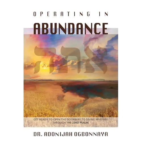 Operating in Abundance - Paperback