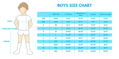 Blue stripe apple embroidery shirt