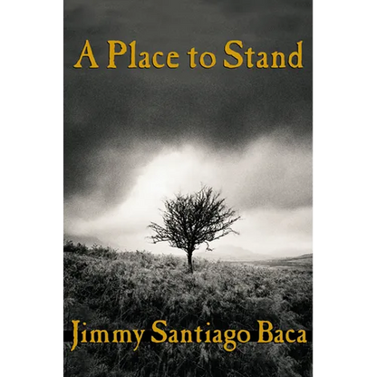 A Place to Stand - Paperback