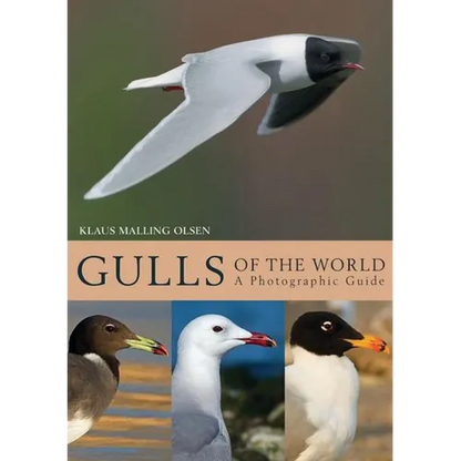 Gulls of the World: A Photographic Guide - Hardcover