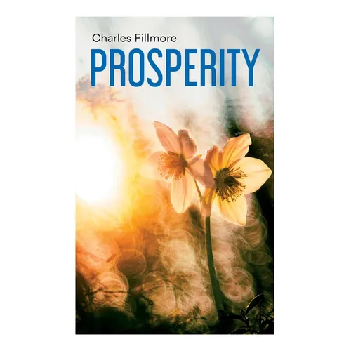Prosperity: God Has Provided Prosperity for Every Home - Paperback