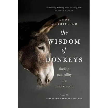 The Wisdom of Donkeys: Finding Tranquility in a Chaotic World - Paperback