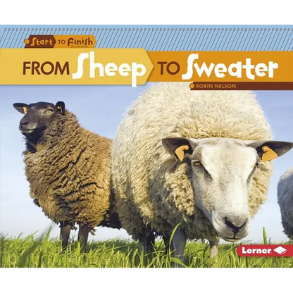 From Sheep to Sweater - Paperback