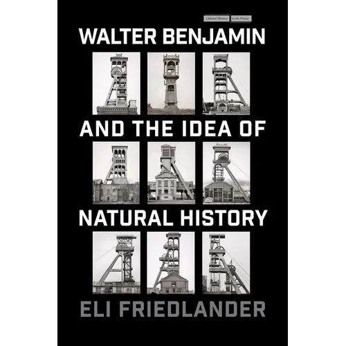 Walter Benjamin and the Idea of Natural History - Paperback