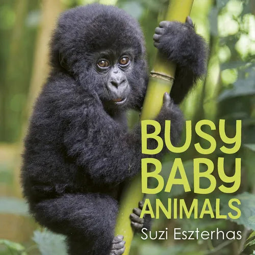 Busy Baby Animals - Hardcover