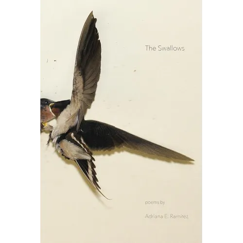 The Swallows - Paperback