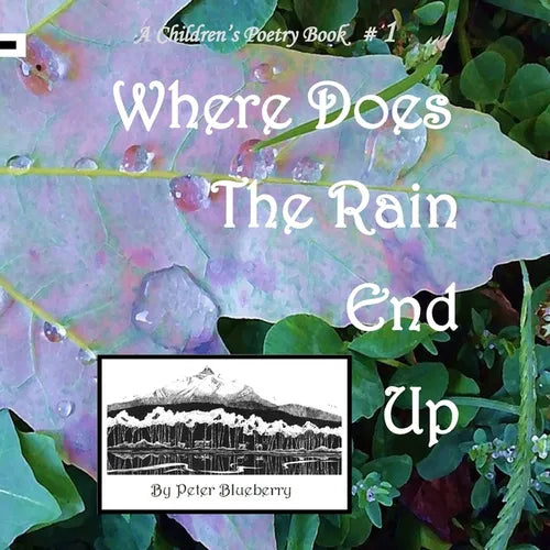 Where does the Rain end up - Paperback